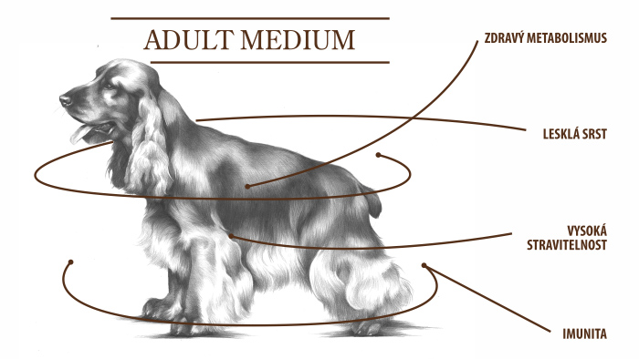 adult medium tabulka