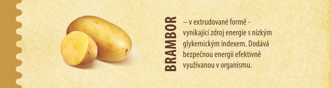 složení - brambor