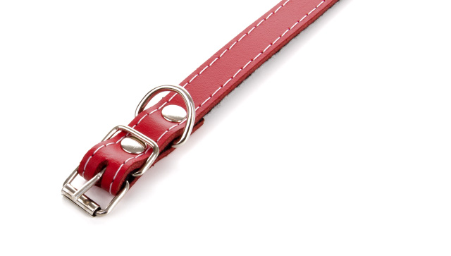 Detail koženého obojku pro psy. JK ANIMALS, kožený obojek JK Classic pro psy, červený, 1,4×40 cm. 