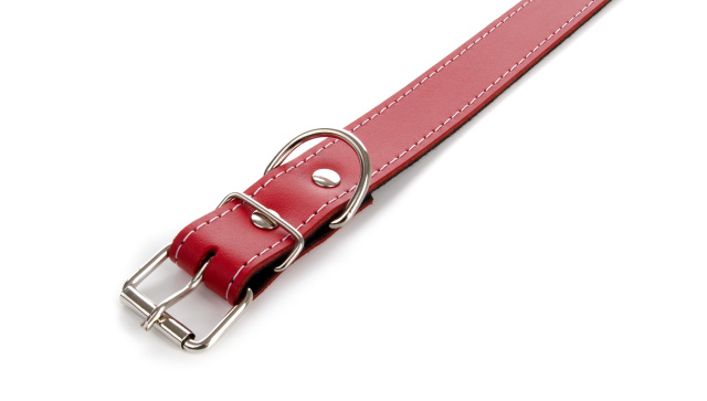 Detail koženého obojku pro psy. JK ANIMALS, kožený obojek JK Classic pro psy, červený, 3×65 cm. 