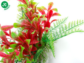 JK ANIMALS Akvarijní rostlinka Ludwigia červenozelená, 14–17 cm | © copyright jk animals, všechna práva vyhrazena