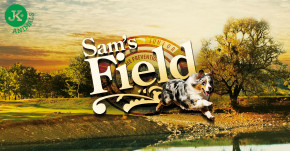 Sam's Field Puppy Chicken & Potato | © copyright jk animals, všechna práva vyhrazena