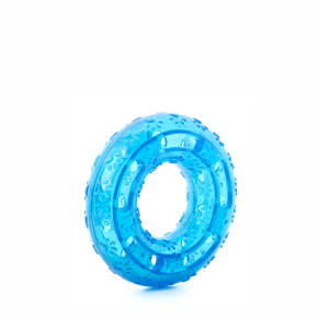 TPR – kruh modrý, odolná (gumová) hračka z termoplastické pryže