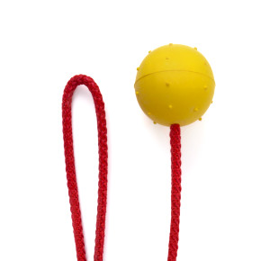 Míček z tvrdé gumy na provaze, hračka pro psy, 5 cm, ideální pro aktivní hru