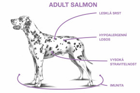 Sam's Field Low Adult Salmon & Potato, hypoalergenní superprémiové granule pro dospělé psy všech plemen, 13 kg (Sams Field bez pšenice) © copyright jk animals, všechna práva vyhrazena 