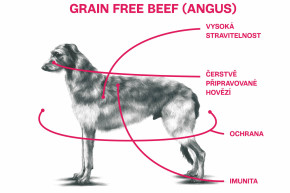 Sam's Field Grain Free Beef (Angus), superprémiové granule pro dospělé psy všech velikostí a plemen, 13 kg (Sams Field bez obilovin) © copyright JK ANIMALS, všechna práva vyhrazena