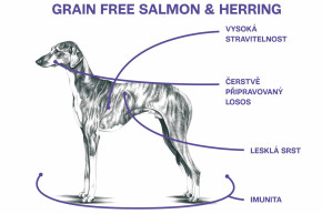 Sam's Field Grain Free Salmon & Herring, superprémiové granule pro psy všech velikostí a plemen, 13 kg (Sams Field bez obilovin) © copyright JK ANIMALS, všechna práva vyhrazena