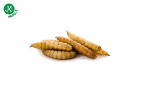 JK ANIMALS,  Sušená larva bráněnky, 80 g © copyright jk animals, všechna práva vyhrazena